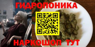 прущие крисы Кунгур